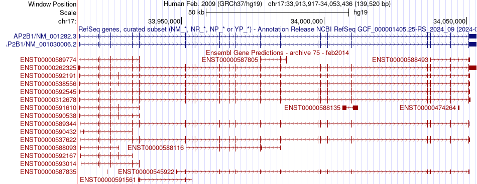 gene isoform structure of AP2B1