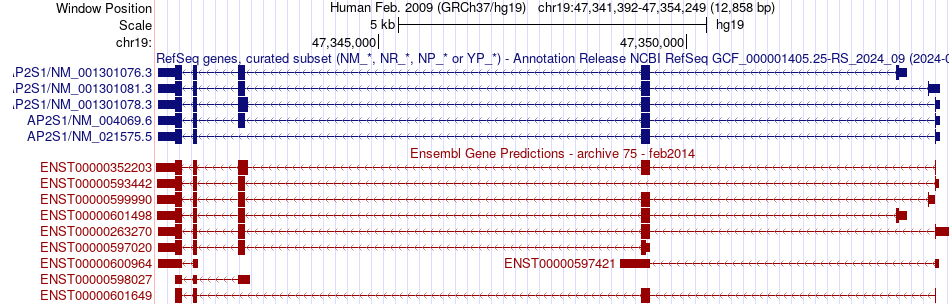 gene isoform structure of AP2S1
