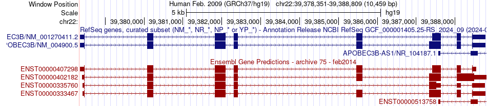gene isoform structure of APOBEC3B
