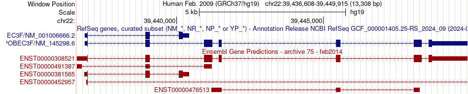 gene isoform structure of APOBEC3F