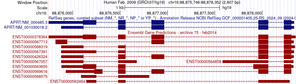gene isoform structure of APRT