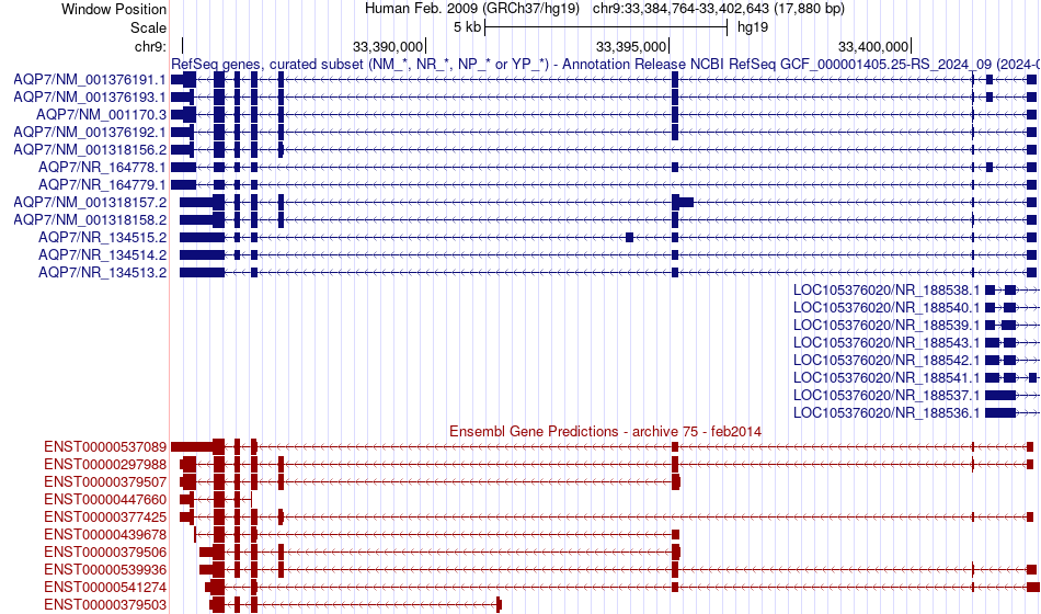 gene isoform structure of AQP7
