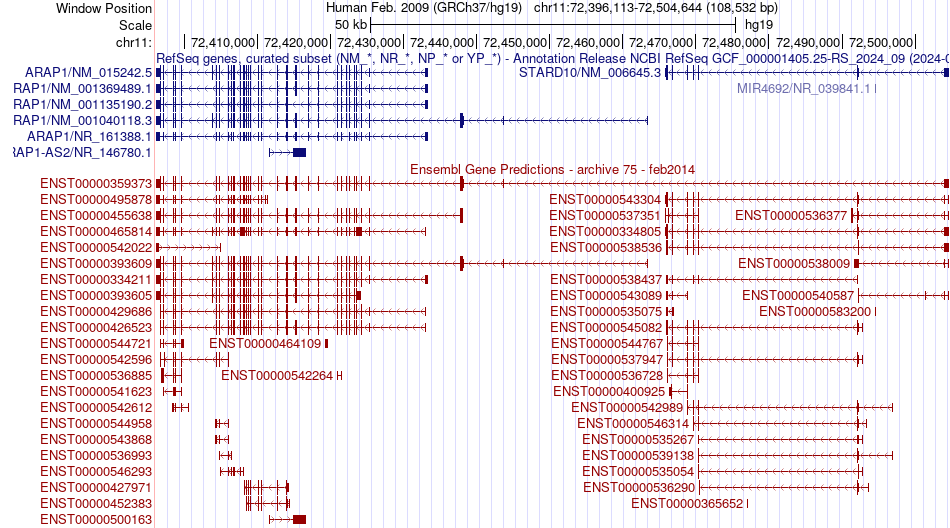 gene isoform structure of ARAP1