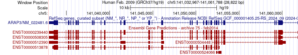 gene isoform structure of ARAP3