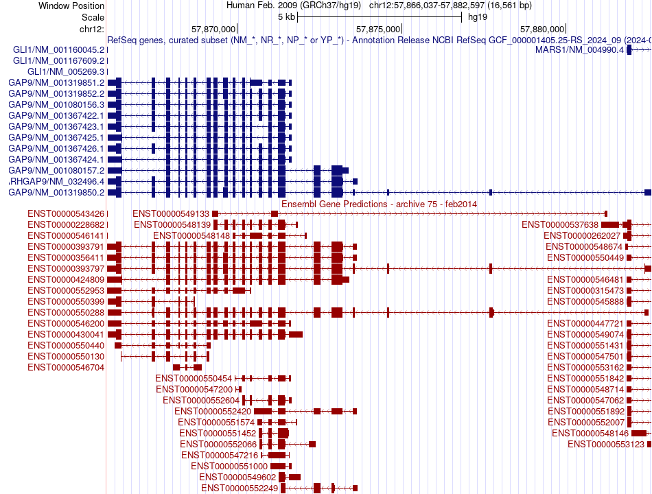 gene isoform structure of ARHGAP9