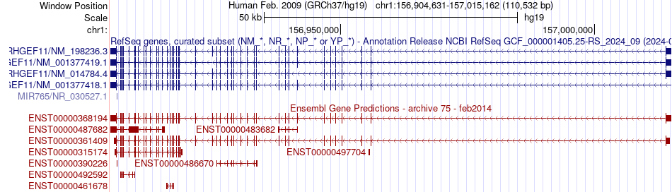 gene isoform structure of ARHGEF11