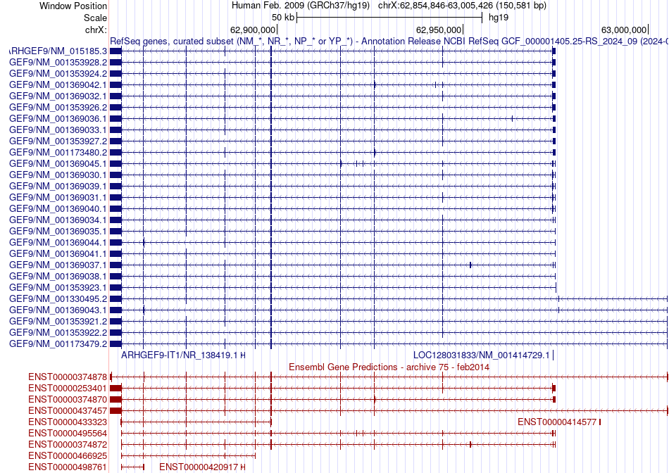 gene isoform structure of ARHGEF9