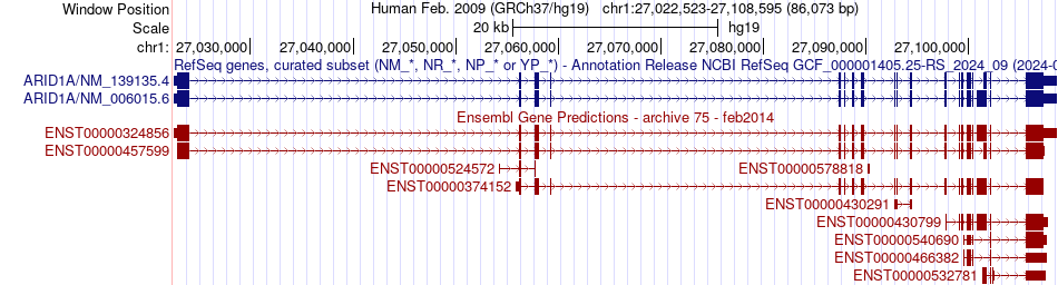 gene isoform structure of ARID1A