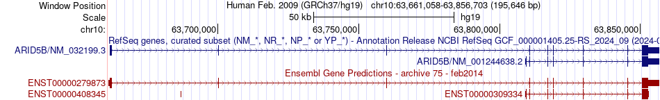gene isoform structure of ARID5B