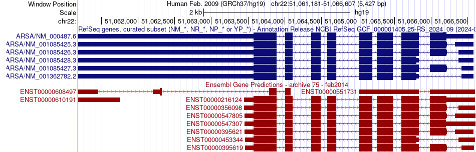 gene isoform structure of ARSA