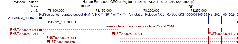 gene isoform structure of ARSB