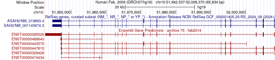 gene isoform structure of ASAH2