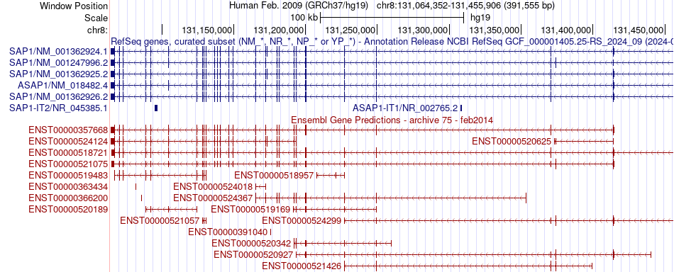 gene isoform structure of ASAP1
