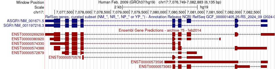 gene isoform structure of ASGR1