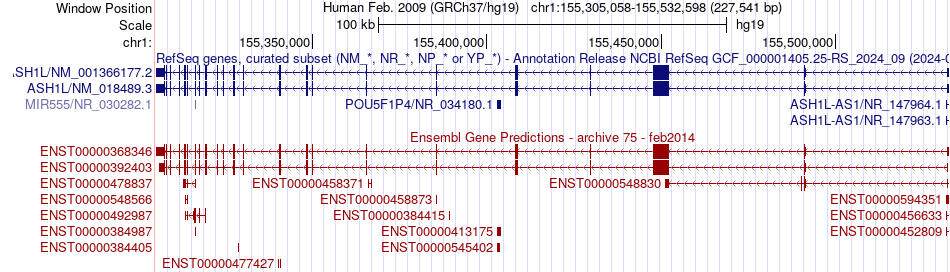 gene isoform structure of ASH1L