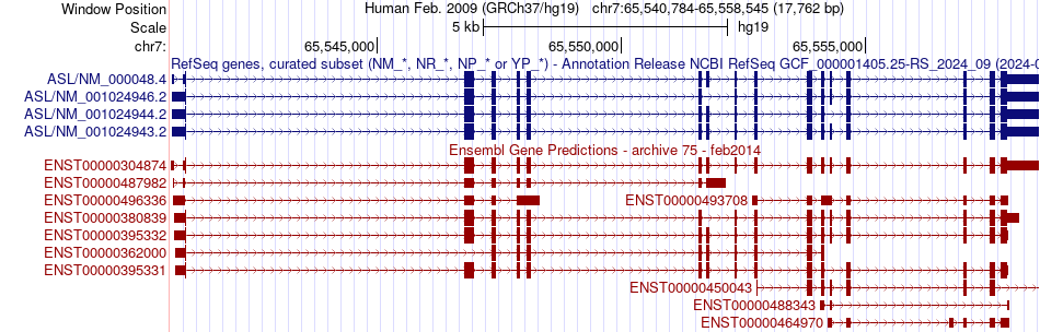 gene isoform structure of ASL