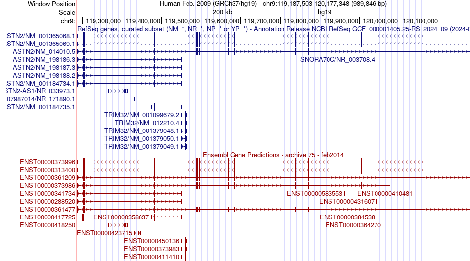gene isoform structure of ASTN2