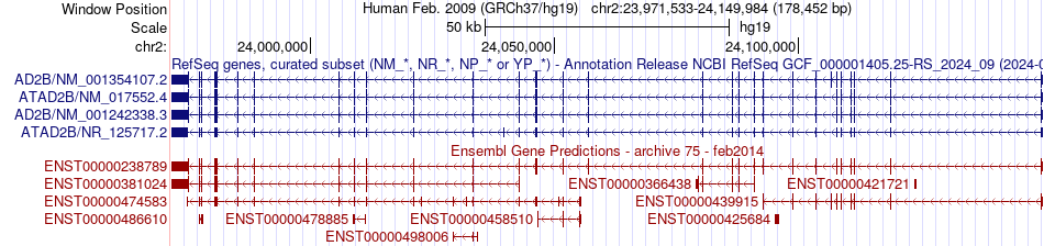 gene isoform structure of ATAD2B