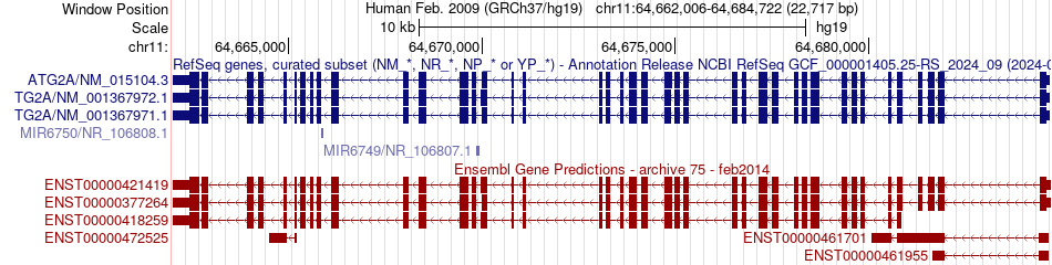 gene isoform structure of ATG2A