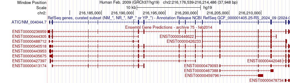 gene isoform structure of ATIC