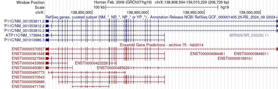 gene isoform structure of ATP11C