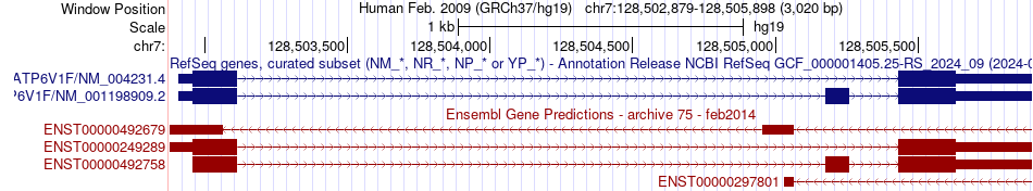 gene isoform structure of ATP6V1F