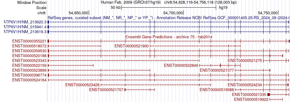 gene isoform structure of ATP6V1H