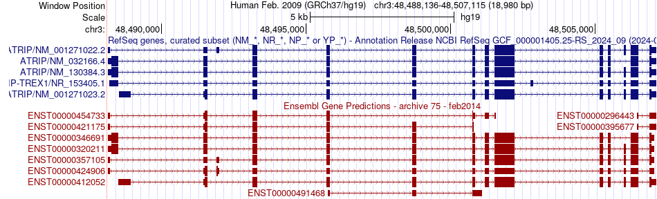 gene isoform structure of ATRIP