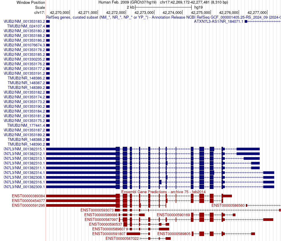 gene isoform structure of ATXN7L3