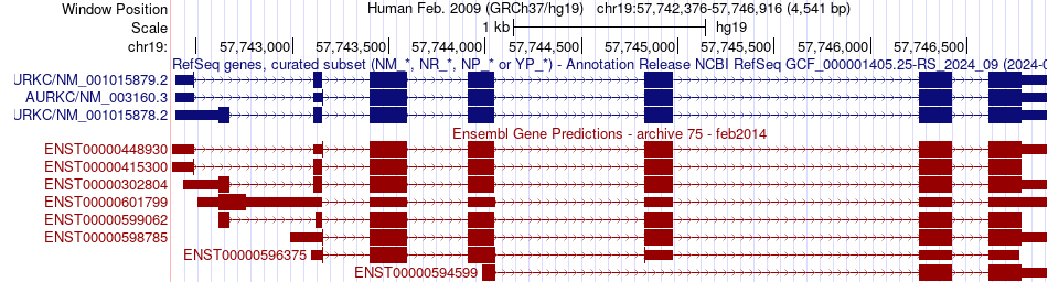 gene isoform structure of AURKC