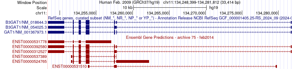 gene isoform structure of B3GAT1