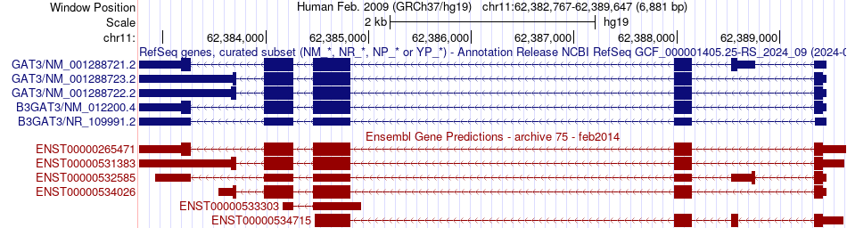 gene isoform structure of B3GAT3