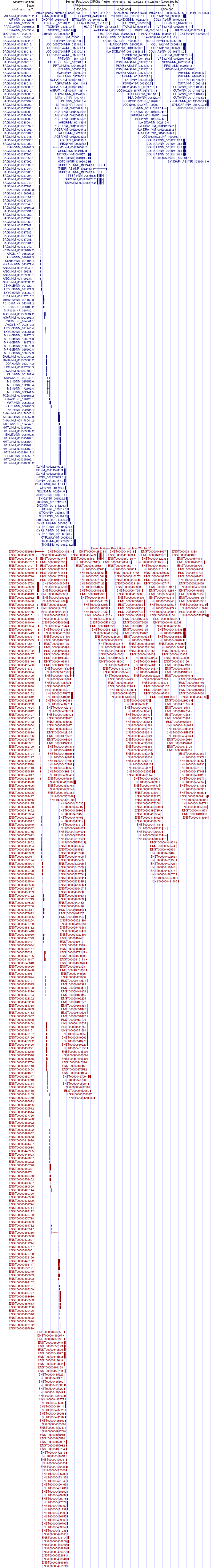 gene isoform structure of BAG6