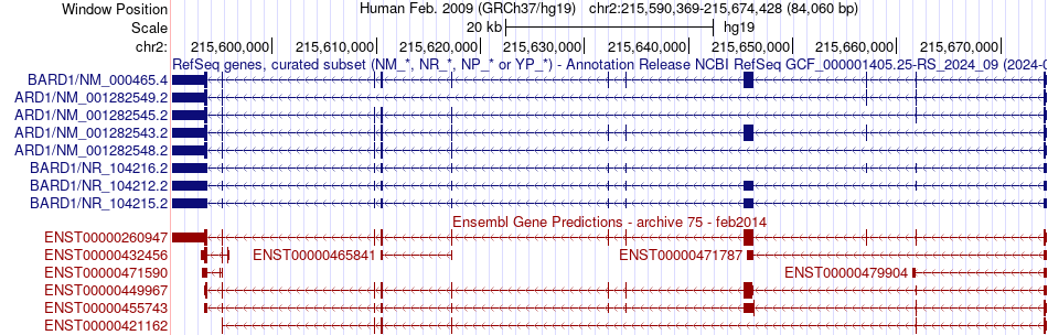 gene isoform structure of BARD1