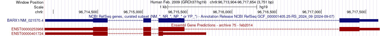 gene isoform structure of BARX1