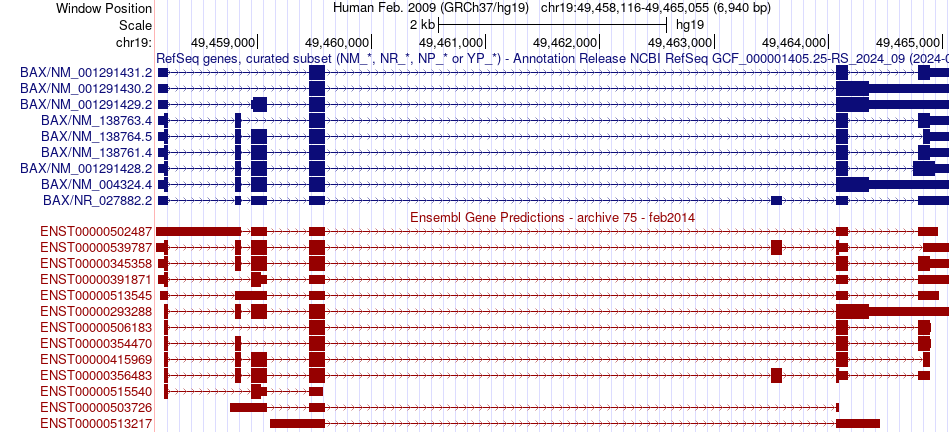 gene isoform structure of BAX