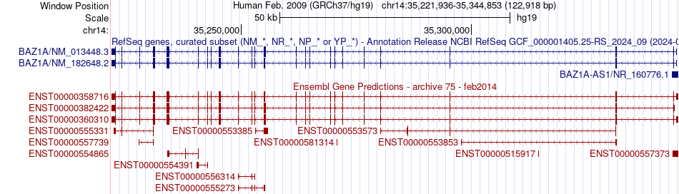 gene isoform structure of BAZ1A