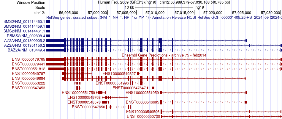 gene isoform structure of BAZ2A