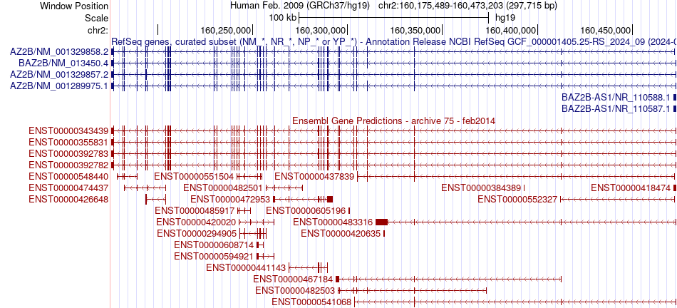 gene isoform structure of BAZ2B