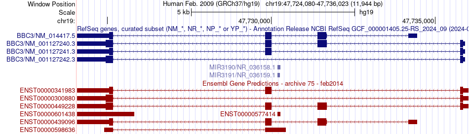 gene isoform structure of BBC3
