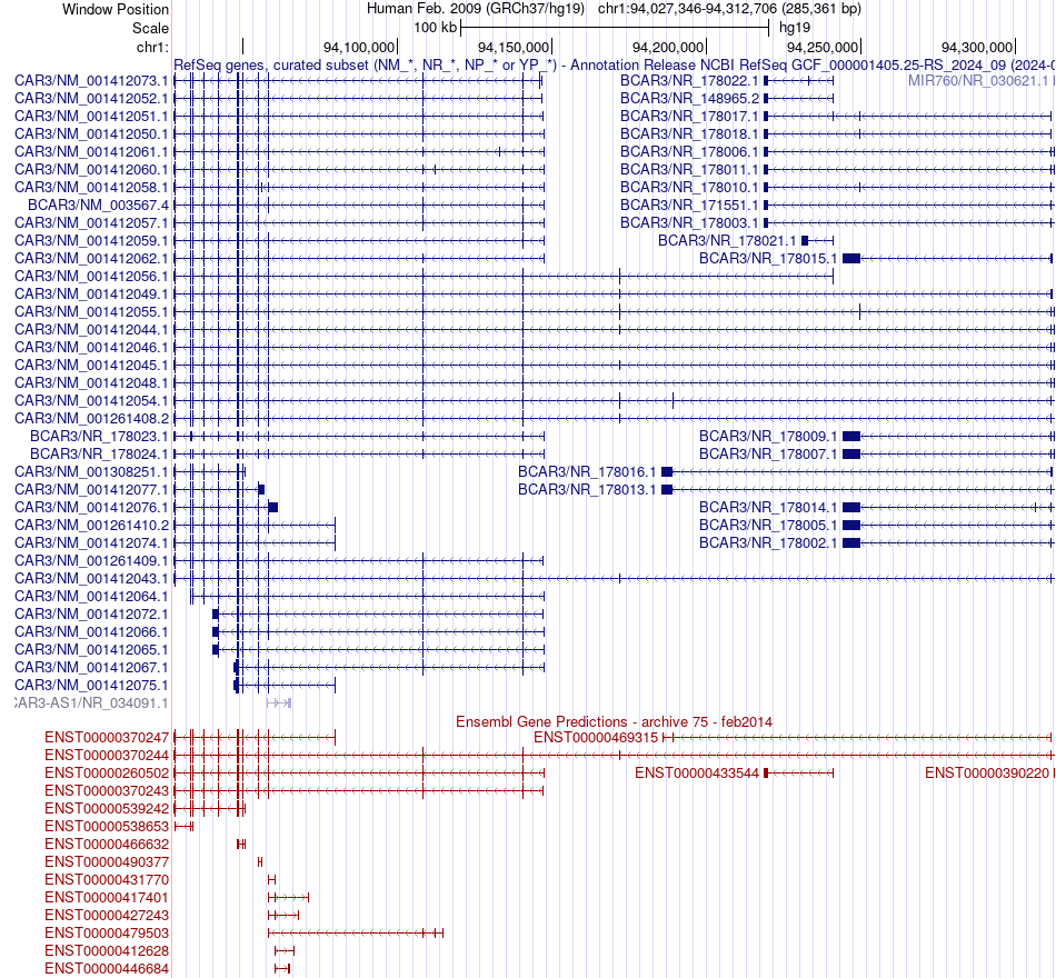 gene isoform structure of BCAR3