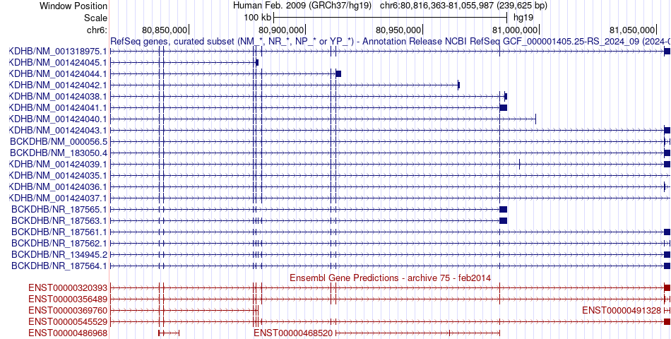 gene isoform structure of BCKDHB
