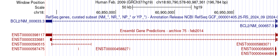 gene isoform structure of BCL2