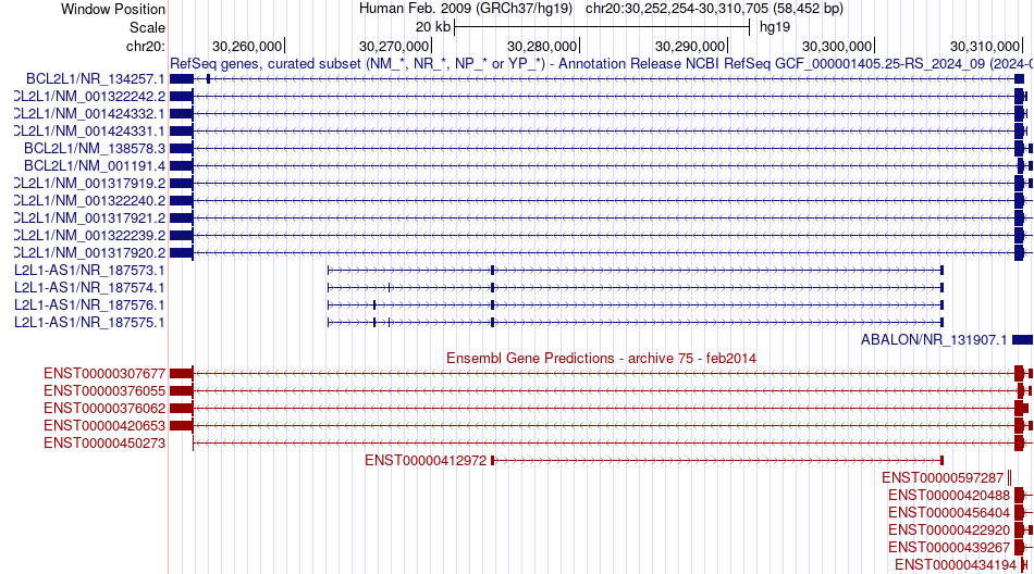 gene isoform structure of BCL2L1