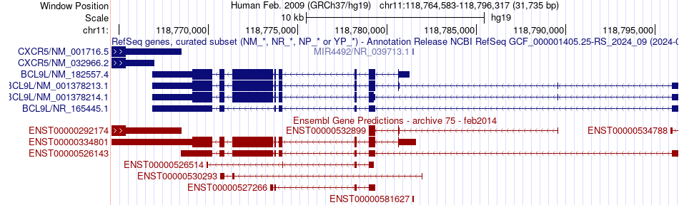 gene isoform structure of BCL9L