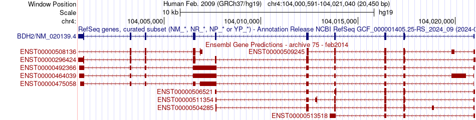 gene isoform structure of BDH2