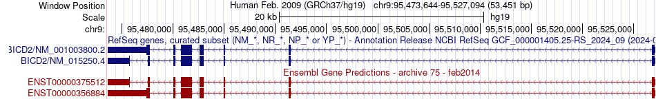 gene isoform structure of BICD2