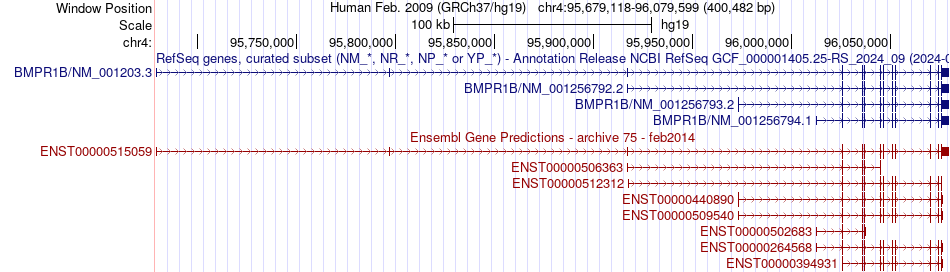 gene isoform structure of BMPR1B