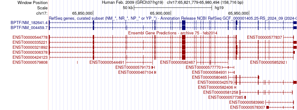gene isoform structure of BPTF