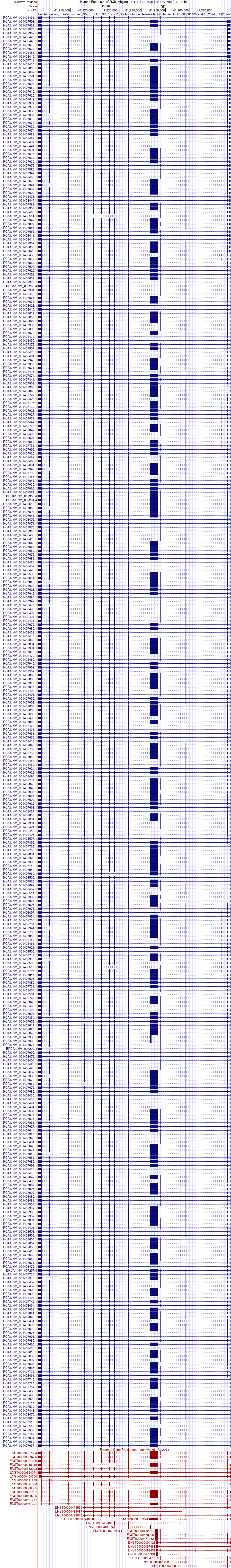 gene isoform structure of BRCA1